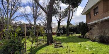 acp galery
