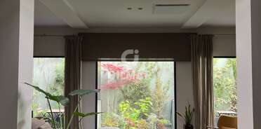 acp galery