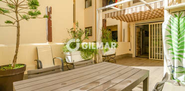 acp galery