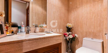 acp galery