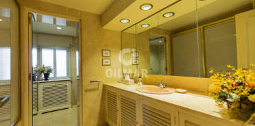 acp galery