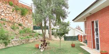 acp galery