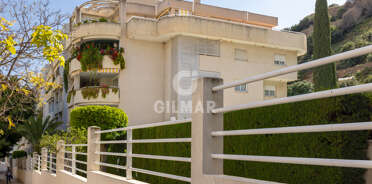 acp galery