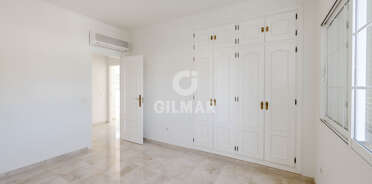 acp galery