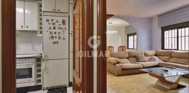acp galery