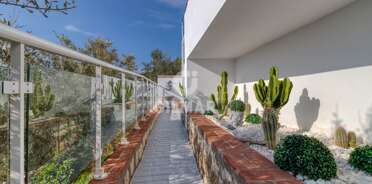acp galery