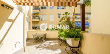 acp galery