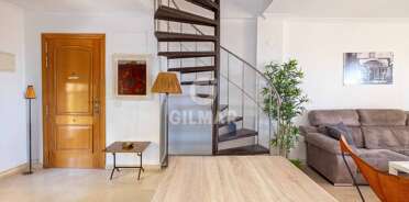 acp galery