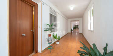 acp galery