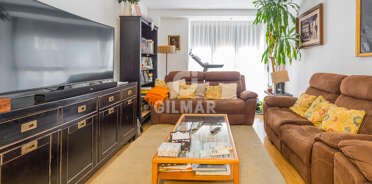 acp galery