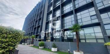 acp galery