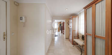 acp galery