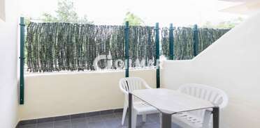 acp galery