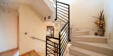 acp galery