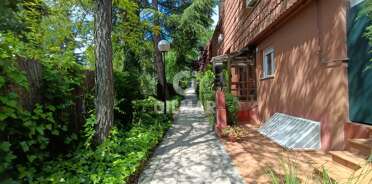acp galery
