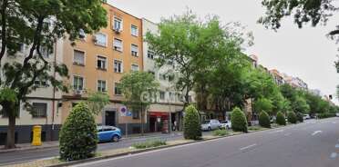 acp galery