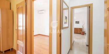 acp galery