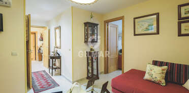 acp galery