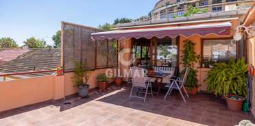 acp galery