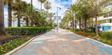 acp galery
