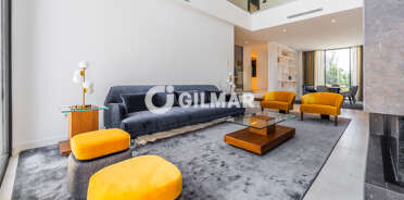 acp galery