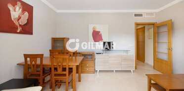acp galery