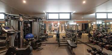 acp galery