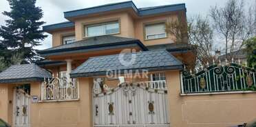 acp galery