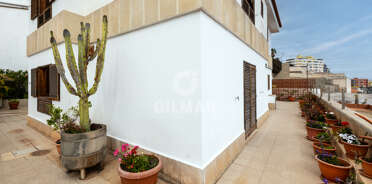 acp galery