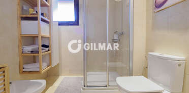 acp galery