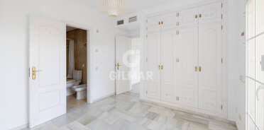 acp galery