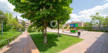 acp galery
