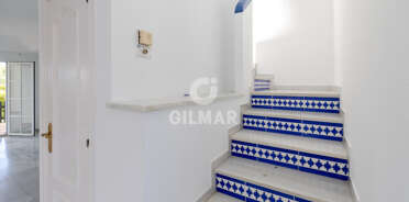 acp galery