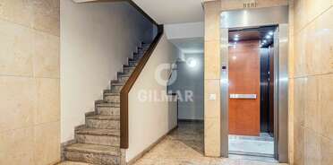 acp galery