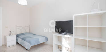 acp galery