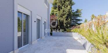 acp galery
