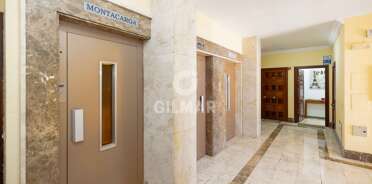 acp galery