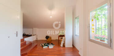 acp galery