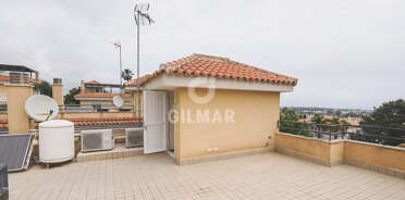 acp galery
