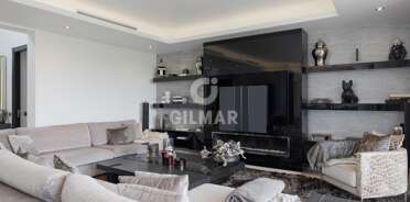 acp galery