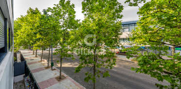 acp galery