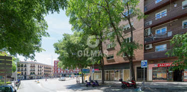 acp galery