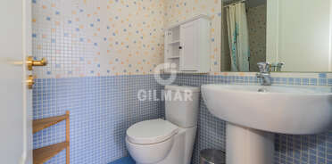 acp galery