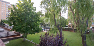 acp galery