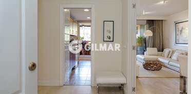 acp galery
