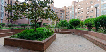 acp galery
