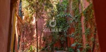 acp galery