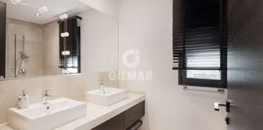 acp galery