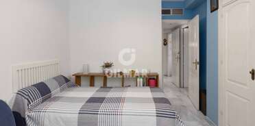 acp galery