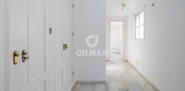 acp galery